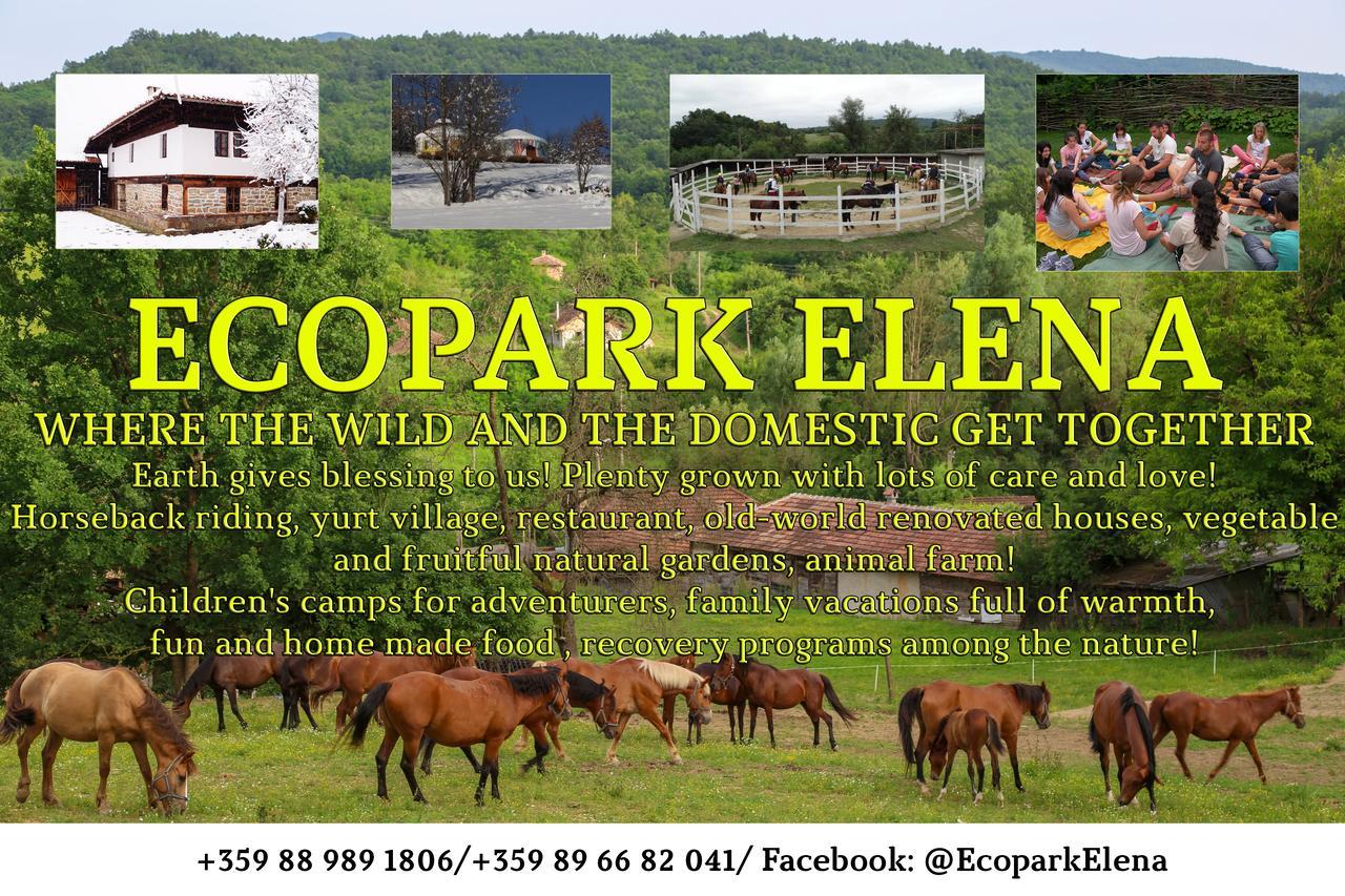 Ecopark Elena Exterior foto