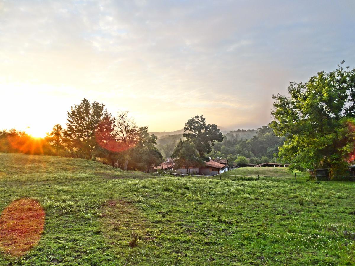 Ecopark Elena Exterior foto